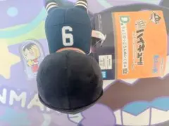 ハイキュー　ミニアクリルスタンド　一番くじ　ちょこのっこぬいぐるみ　D賞