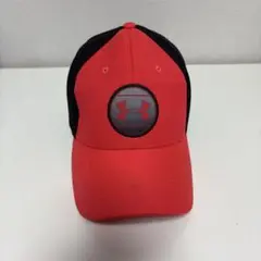 Item thumbnail for item 5d3d1d55-c48d-4fee-9f51-b03cef7d843a