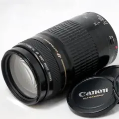 Item thumbnail for item ea9312dd-99de-4a44-9046-87555aa97cee