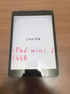 iPad mini 2 16GB