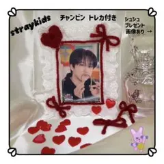 トレカケース カードケース インテリア straykids チャンビン