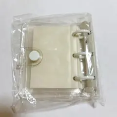 Item thumbnail for item ef24fc22-de69-4f9b-94dc-beb456eb5269