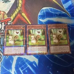 遊戯王 きのみ隠しのうっかりす