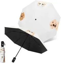 Item thumbnail for item 701d5724-d201-4122-8e51-85fed2b4f8ff