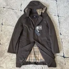 Item thumbnail for item 6dc865b9-13d9-420e-ab90-ae78ca747c97