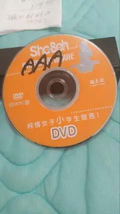 Sho-Boh 2010年6月号vol20 DVD付き Sho-Boh 2010年6月号vol20 DVD付き - メルカリ