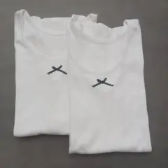 Item thumbnail for item 11f687f3-535e-4ef8-b1cd-01081601242a