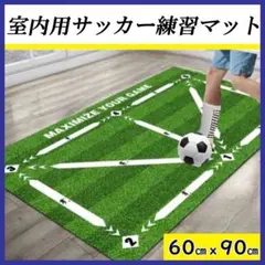 サッカー 室内トレーニング フットサル 練習　60×90 自主練習 ドリブル