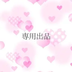 専用出品