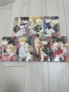 極妻デイズ 1-7巻セット