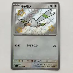 【2点目から半額】キャモメ　色違い