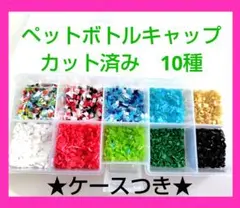 ペットボトルキャップカット済み 大容量　ケースつきセット　150g 自由研究