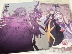【最終値下げ】FGO マーリン　ファイル　2種　Fate Grand Order