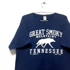 GREAT SMOKY FRUITOFTHELOOM ネイビー　L Tシャツ