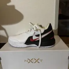 [ナイキ] LEBRON NXXT Gen AMPD EP 日本国内正規品