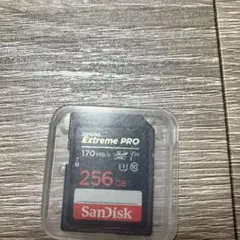 SanDisk Extreme PRO 256GB SDカード