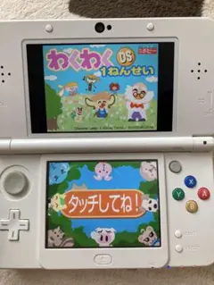 わくわくDS 1ねんせい 学習ゲームソフト