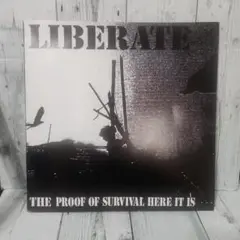 Item thumbnail for item 027f5853-0a2e-4b29-8e85-57cad3030a5a