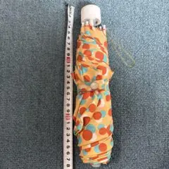 Item thumbnail for item bdd27a2e-c2ae-4c2e-9937-a49ed2d2159e