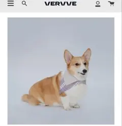 Item thumbnail for item 00d647b6-e016-44d9-b61c-8a59a8e89cdf