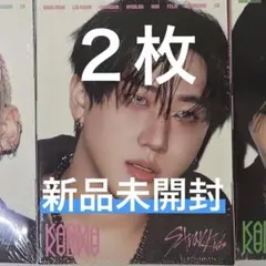 Stray Kids KARMA ACCORDION VER.チャンビン スキズ