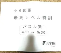 浜学園　小６　成績資料　合否判定学力テスト　2023年度　2022年度　４科 浜学園 小6 2023 2022 成績資料付き 合否判定学力テスト 国語