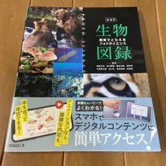 ドイツ語 改新 獨逸文法辭典 片山正雄 著 有朋堂 1931年 希少 初版