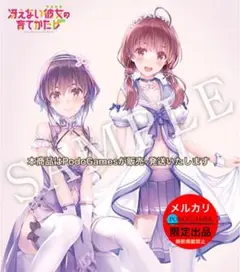 【非売品】冴えない彼女の育てかた 深崎暮人 波島出海 ロング サイズ ポスター 非売品】冴えない彼女の育てかた 深崎暮人 英梨々 ロング サイズ