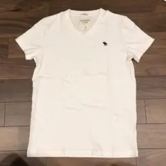 Abercrombie & Fitch Vネック マッスルTシャツ