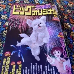 ビッグコミックオリジナル　9月増刊号