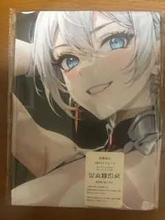 崩壊3rd キアナ・カスラナ？ 抱き枕カバー　シークレット