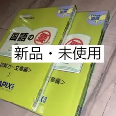 【美品】国語の要 その2 SAPIX 2冊セット