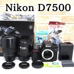 Item thumbnail for item ec8d9f92-9eb1-4126-8977-5ee40a9b7afd