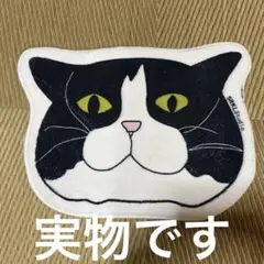 猫　マット 玄関マット　お風呂マット　トイレマット　新品44✖️60 送料無料