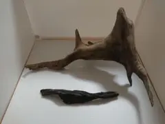 流木セット アク抜き済み インテリア アクアリウムなどに