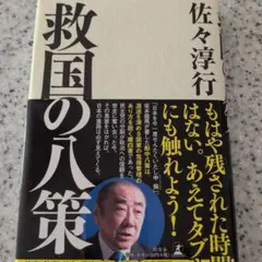 救国の八策