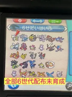 ポケットモンスターX 6世代配布全て未育成　正規確認済み