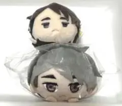 坂道シリーズ ぬいぐるみ2体セット