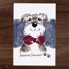 イラスト 原画 ポストカード 絵 【シュナウザー】39
