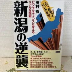 新潟の逆襲 ピンチをチャンスに変えるリアルな提案
