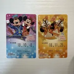 ディズニー リゾートライン 35周年デイパスフリー切符 ディズニー
