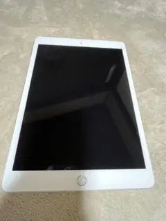 iPad 第7世代 32GB Wi-Fi Cellul 初期化