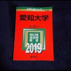 【24時間以内発送】「愛知大学 2019年版」