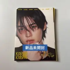 StrayKids KARMA Accordion 新品未開封 リノ ①