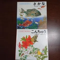 美品 相笠昌義 銅版画集「女・時の過ぎゆくままに」全8枚揃 完品 直筆サイン入り Amazon.co.jp: 完品『相笠昌義銅版画集 女時の過ぎゆくままに