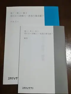 【おんみょ~んさま専用】スタディサプリ 読解力、表現力養成編