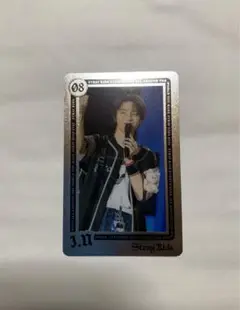 StrayKids エコパスタジアム ライブフォトカード 事後販売 アイエン