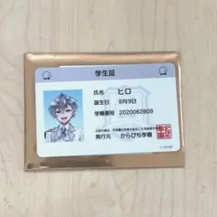カラフルピーチ　ヒロ　からぴちパラダイス　学生証