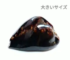 貝殻 7個セット 茶色と黒の斑点模様　沖縄波照間島のハチジョウダカラカイNO.2 貝殻 7個セット 茶色と黒の斑点模様 沖縄波照間島のハチジョウ