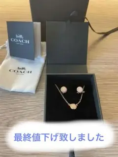 文化の日セール「新品」Coach ピアスとネックレースセット(18k金+石英)